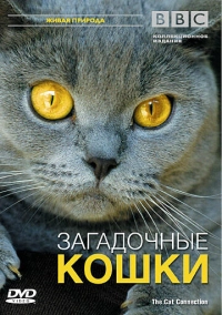 BBC: Загадочные кошки (2002)